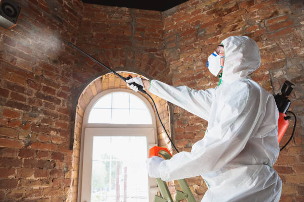 Best Mold Prevention Services  in Hilton, NY